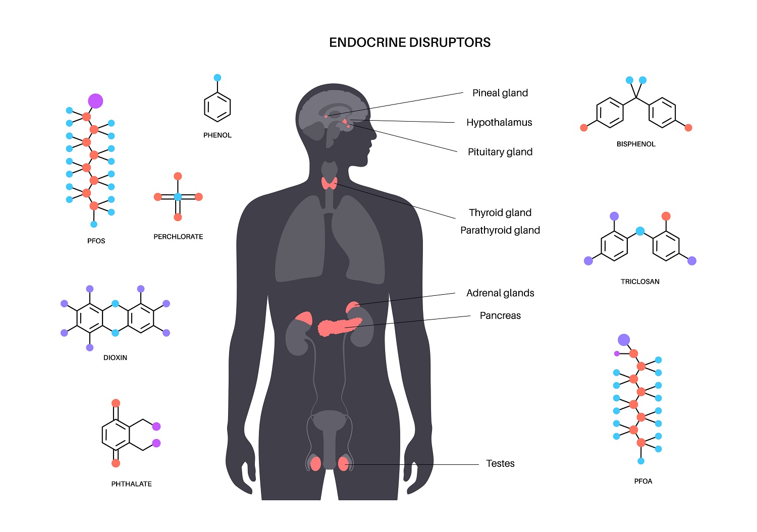 Hormone disruptors