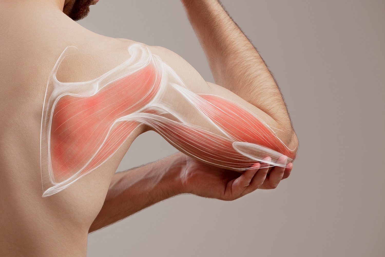 Healing Micro-Tears/ Muscle Tears in muscle